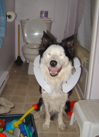 Moss caught red-handed