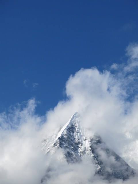 12814028_10156549075975551_5566690770937391978_n